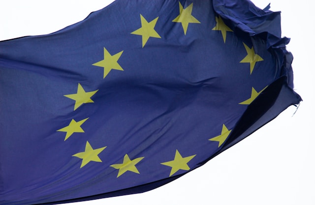 The European Nanny State – The Failed Experiment in Representative Politics