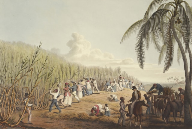 Indian Indentured Labour in the Global South: A Research Overview
