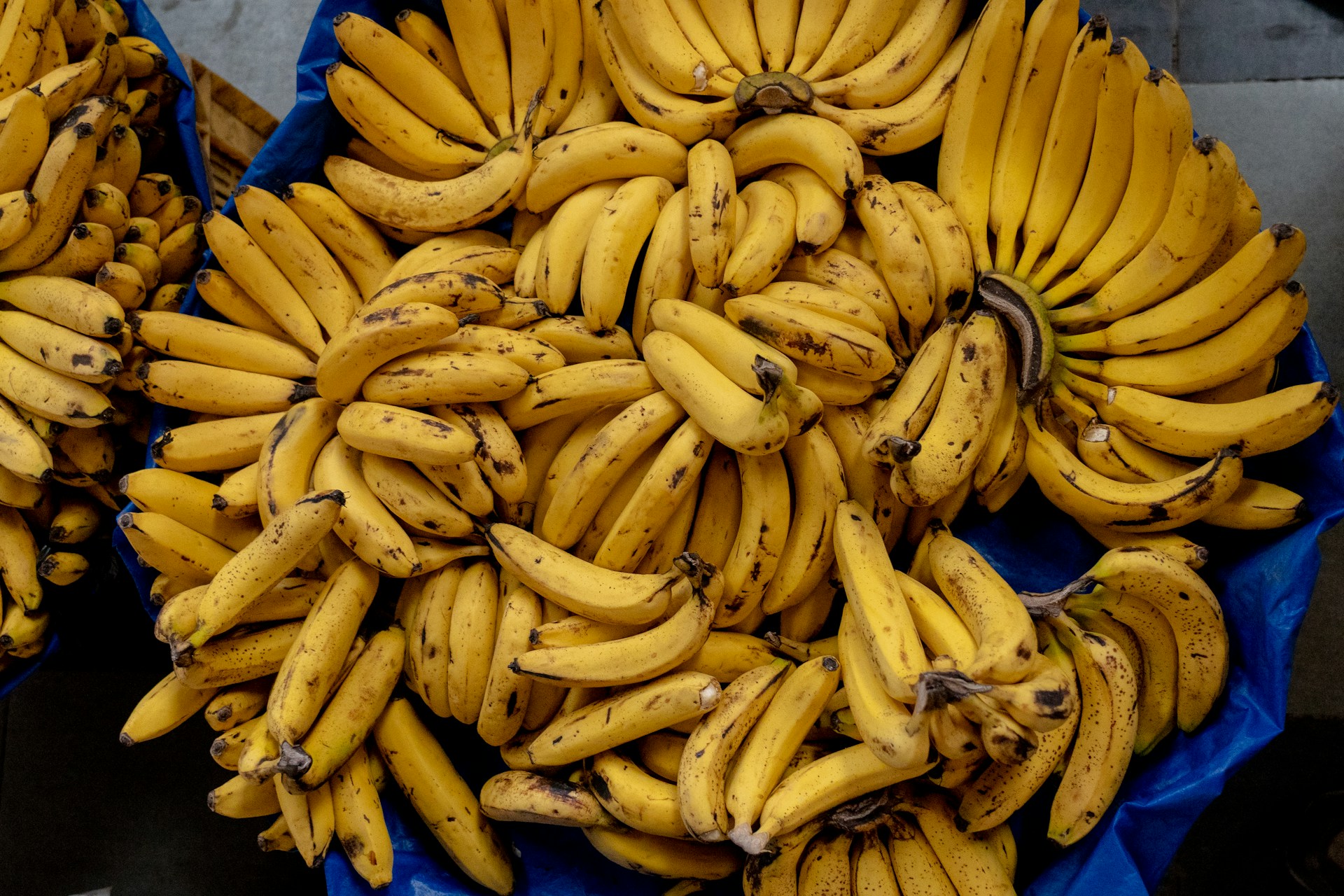 The Banana Republic Mentality